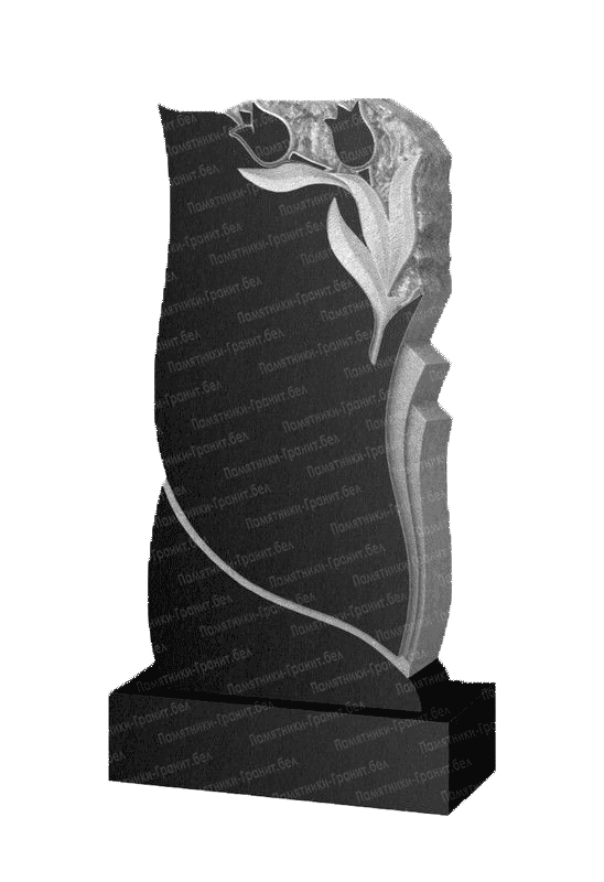 Памятник Новополоцк фото